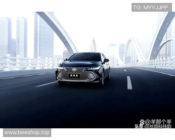 杭州乒乓球队在洲际杯积分榜上以61分稳居第一名展现强劲实力