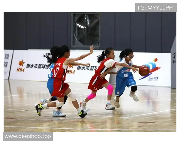 篮球比赛经验排行榜揭晓北京篮球队荣登第一名引发热议